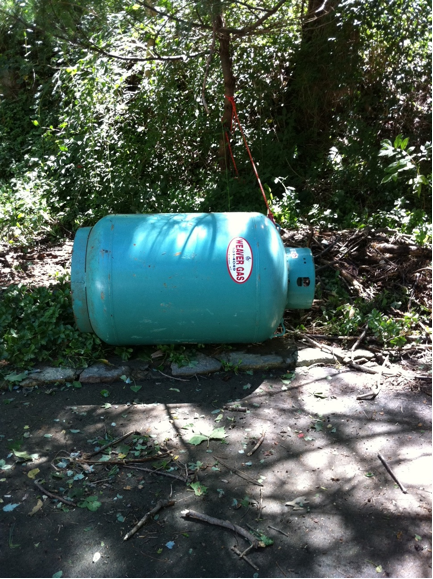 Hurricane Irene